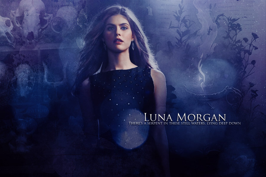 hipp-xmas2024-luna1.jpg