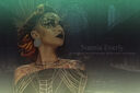 N-Everly-Premade.jpg