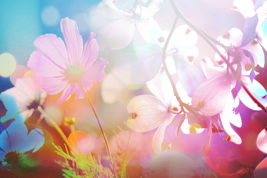 FlowerPower12023Kezia.png