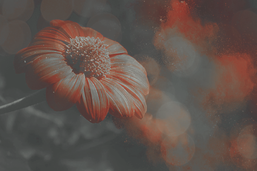 FlowerPower2Kezia.png