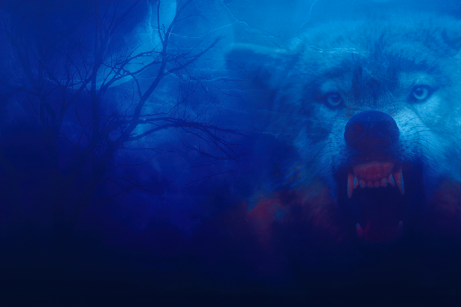 Hungrylikeawolf.png