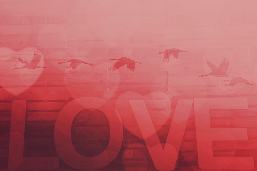 LovebyKezia.png