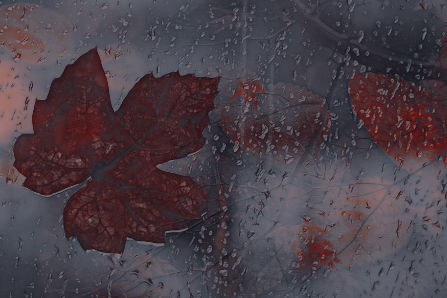Paintrd1AutumnaKezia.png