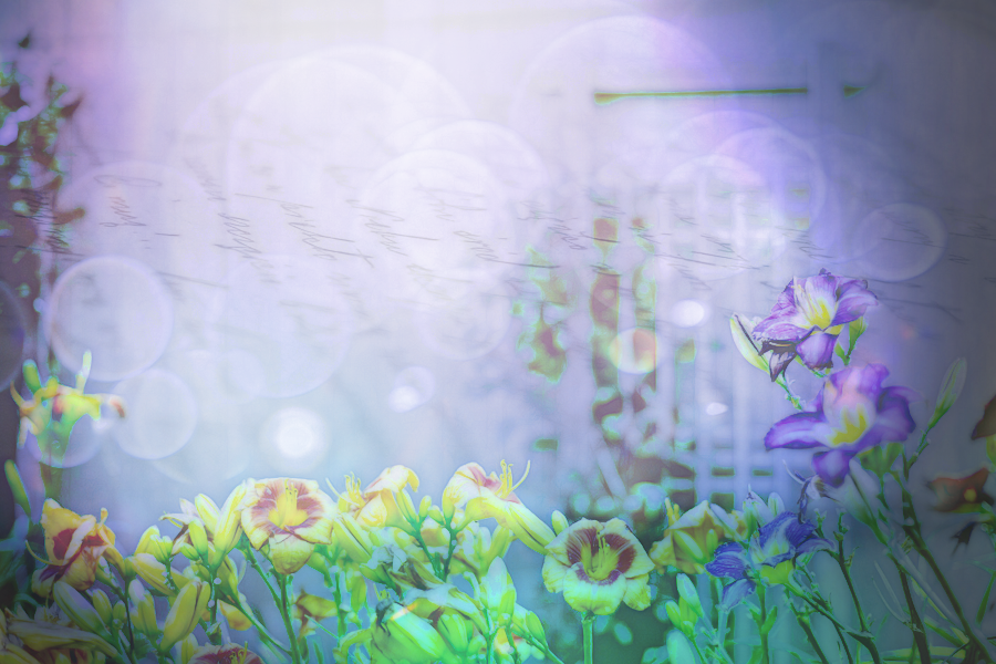 bloomsbyKezia.png
