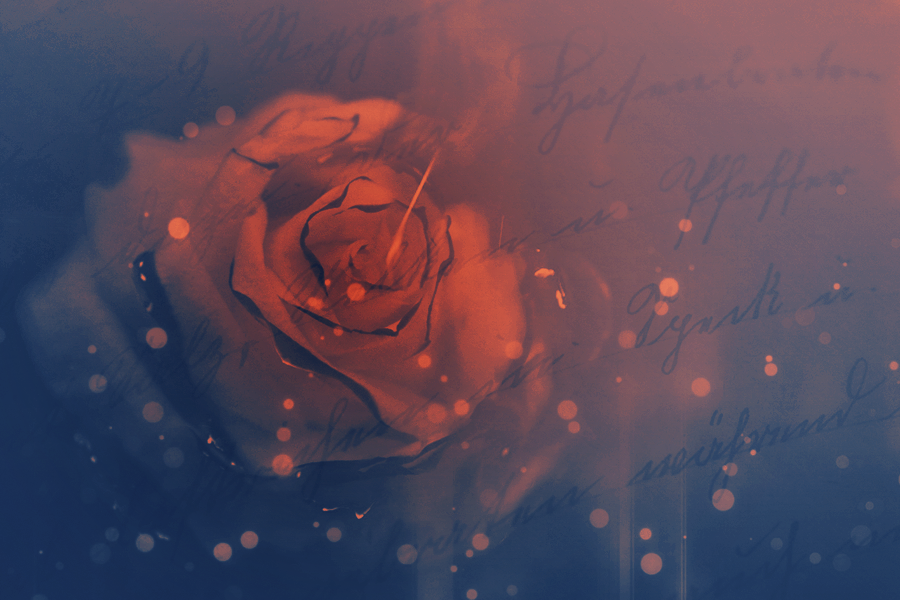 burningrose.png