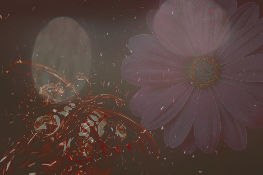 butterflywingsKezia.png