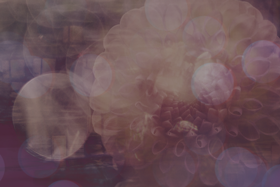 flowerpowerbyKezia.png
