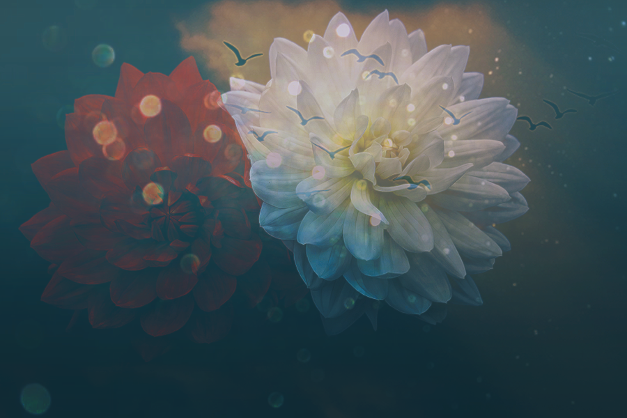 flowers-Kezia.png