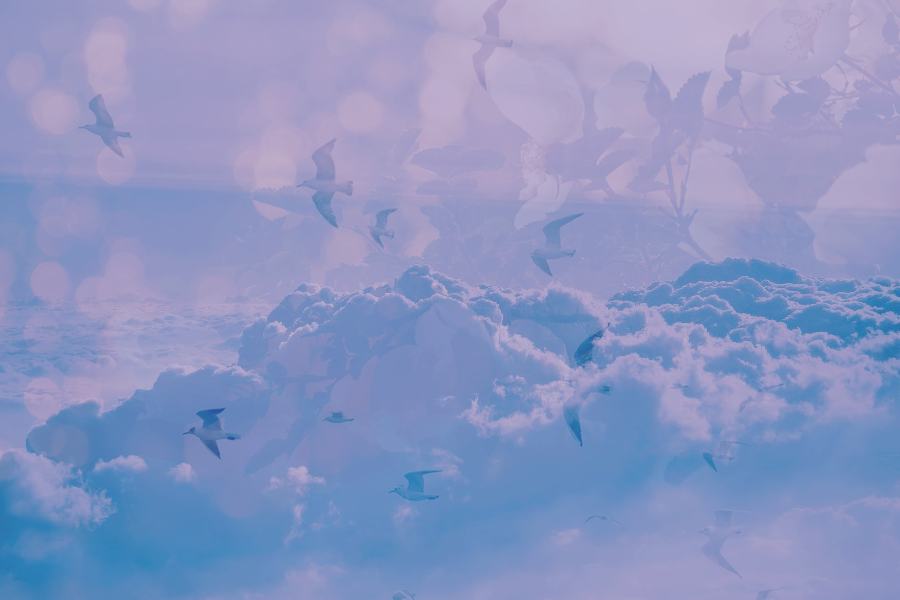 flyinghighbyKezia.png