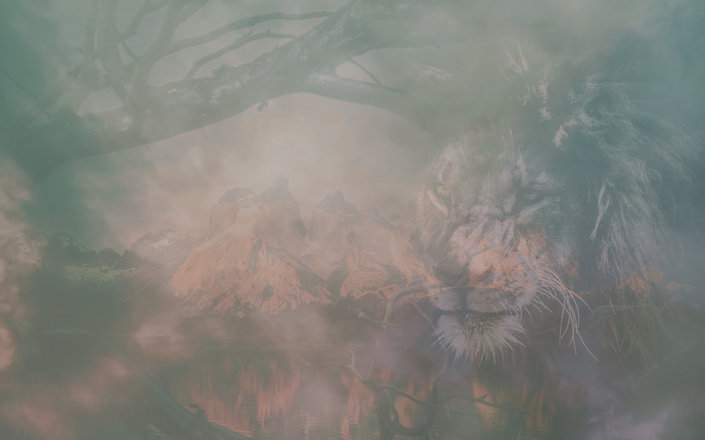 kezlion.png
