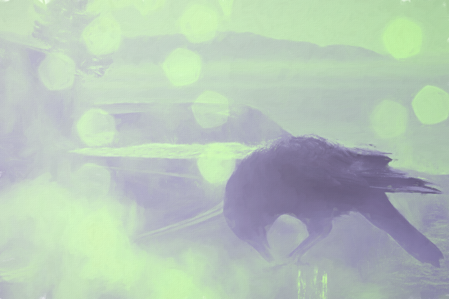 roadkill1byKezia.png