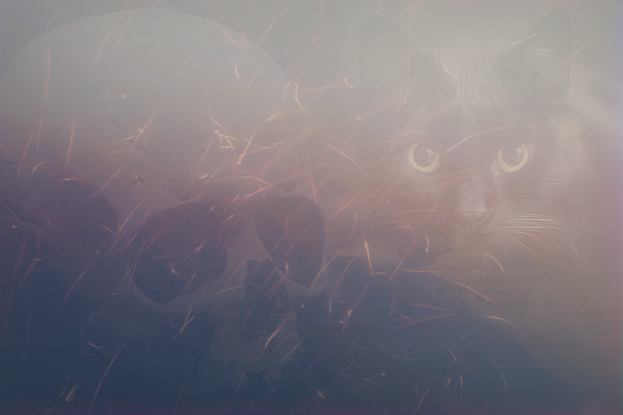 skullcat.png