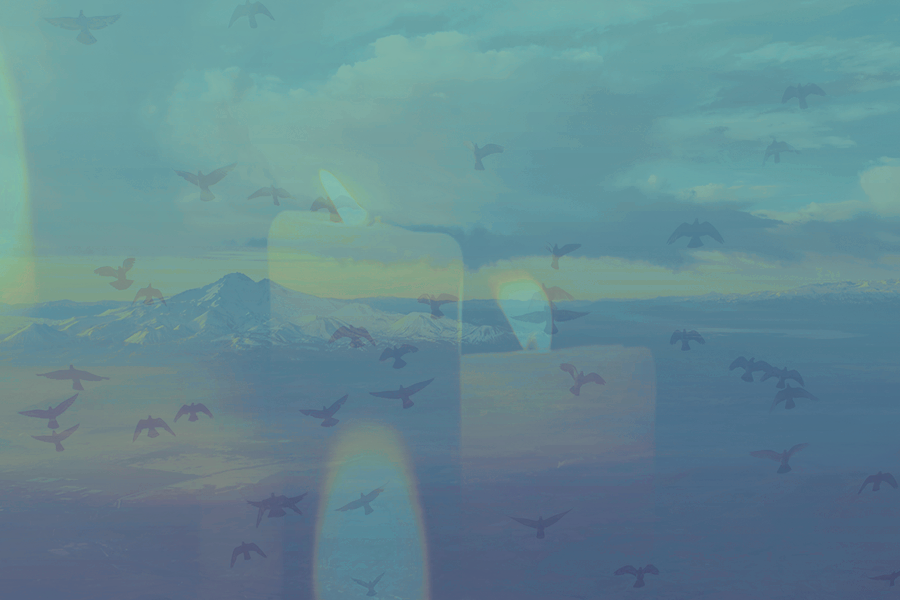 skylightKezia.png