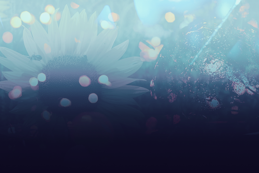 sunlightbykezia.png