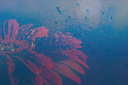 Flower1byKezia.png