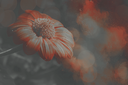 FlowerPower2Kezia.png