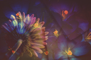 Flowers2Kezia.png
