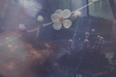 Forest1KeziaTAGxmas2023.png