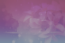 PinkBloom.png