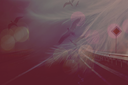 SIDTT3Mar2023Kezia.png