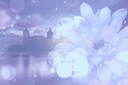 TAGTS4Jan2023Kezia.png