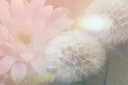 TAGtexture6Xmas2022Kezia.png