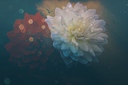 flowers-Kezia.png