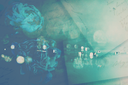 flowers1byKezia.png