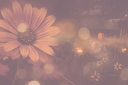 flowers1revoworkshopKezia2023.png