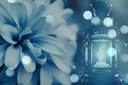 flowers2revoworkshopKezia2023.png