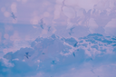 flyinghighbyKezia.png