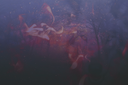 hellhound.png