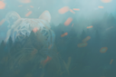 herekittykittybyKezia.png