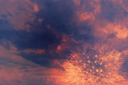 heytheredandelionbyKezia.png