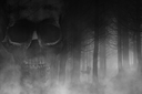 skull1byKezia.png