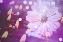 texture4byKezia.png