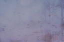 thebirdsbyKezia.png