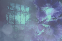 windowdreamingbyKezia.png
