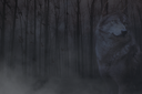 wolf1byKezia.png