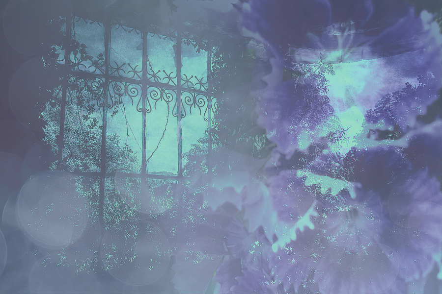 windowdreamingbyKezia.png