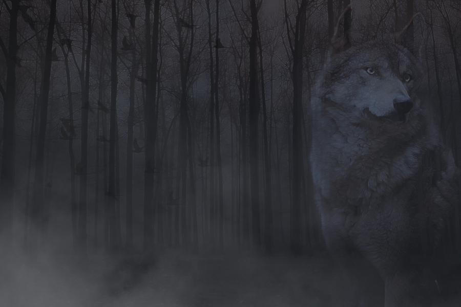 wolf1byKezia.png