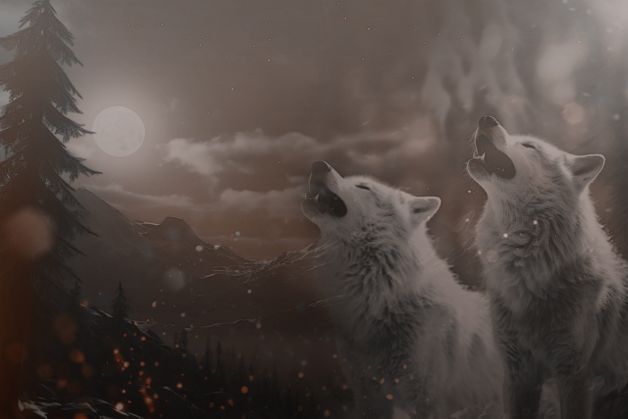 wolves1Kezia2023.png