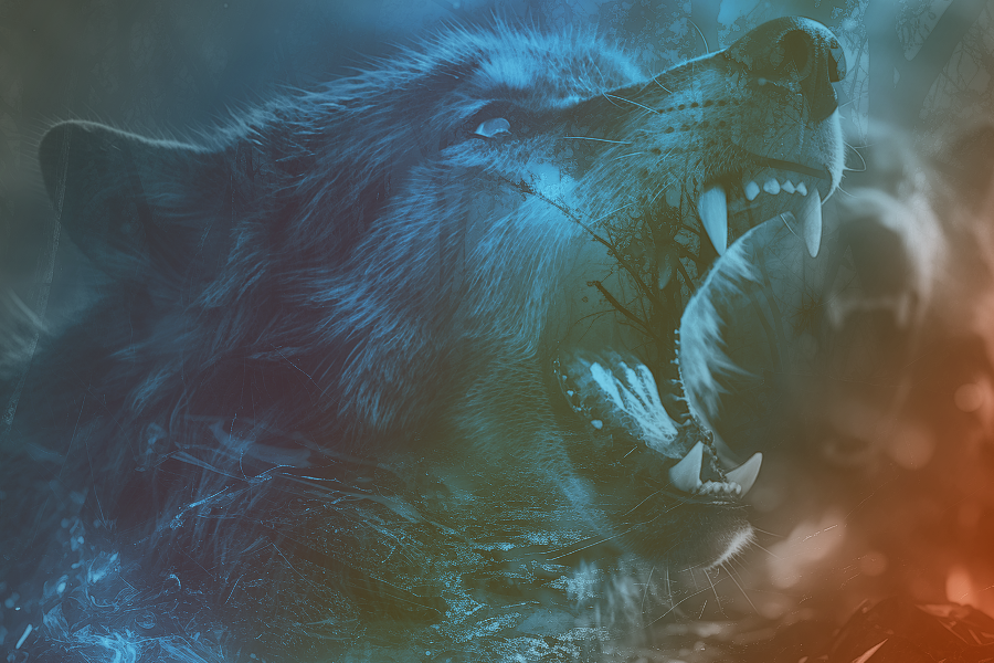 Wolves1Kezia.png