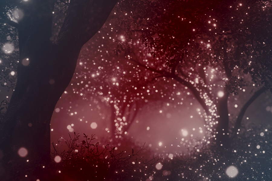 bokehforest2Kezia.png