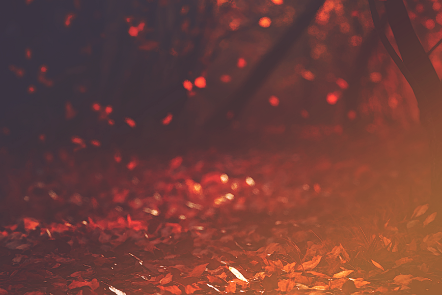 fallforest22024Kezia.png