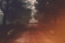 Fallpath22024Kezia.png