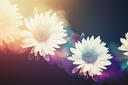 flowerglowup12024Kezia.png