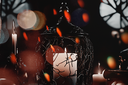 lanternlights12024Kezia.png