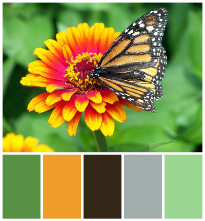 monarch-18140_1920_palitra.jpg